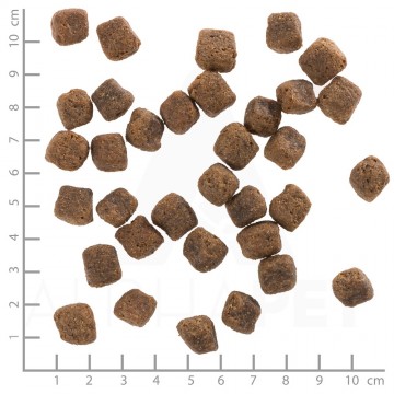 Ad04d8e17e1c9da49faf542f6ba88fca220e5f51wb761255wolfsblutblackbirdadult