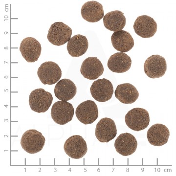 Hyper alergeendsc2936linealjpgi