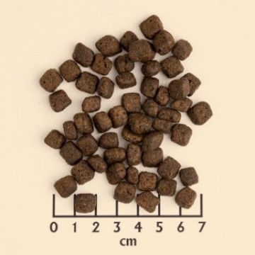 Wild pacific small breed 4