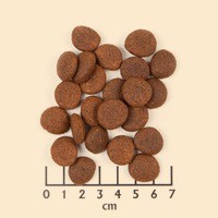 Wolfsblut black marsh brokken1 0