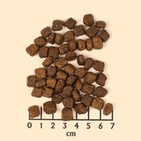 Wolfsblut grey peak puppy kroketten 1