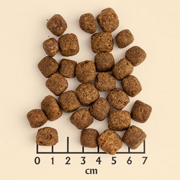 Wolfsblut trockenfutter black bird adult kroketten bei pets premium