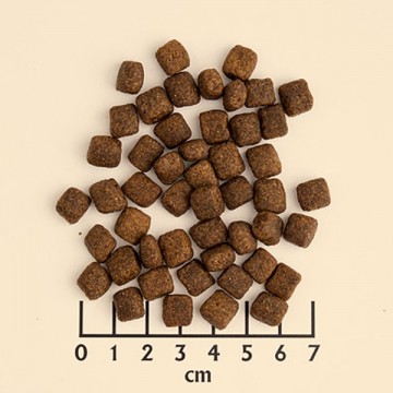 Wolfsblut trockenfutter black bird puppy small breed kroketten bei pets premium1