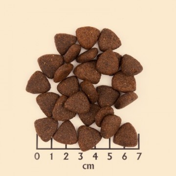 Wolfsblut trockenfutter wildpacific large breed puppy bei pets premium22