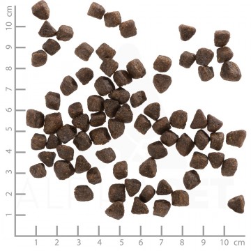 Wolfsblutcoldriverpuppy4260262762665dsc0518lineal1 1