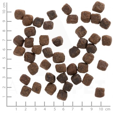 Wolfsblutgreypeakpuppy4260262765956dsc0557lineal 1