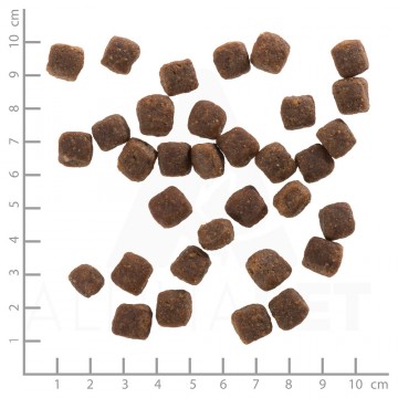 Wolfsblutwildduckpuppyjpg