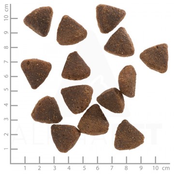 Wolfsblutwildduckpuppylargebreedbrokken4 0